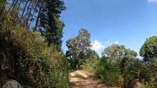 The Ramming Tea Estate to Chiang Dao — video 1