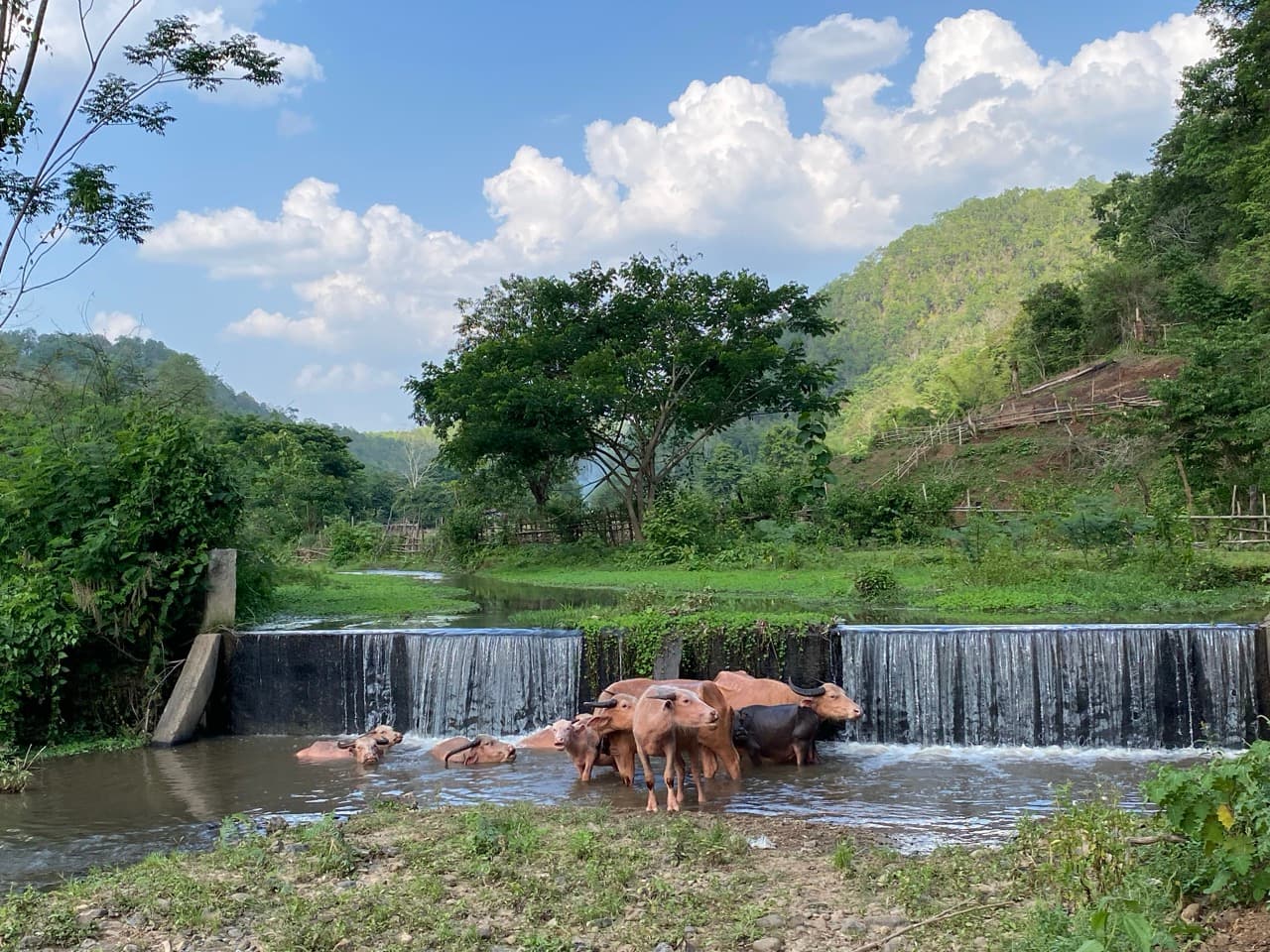 Muang Khong to San Pak Khia