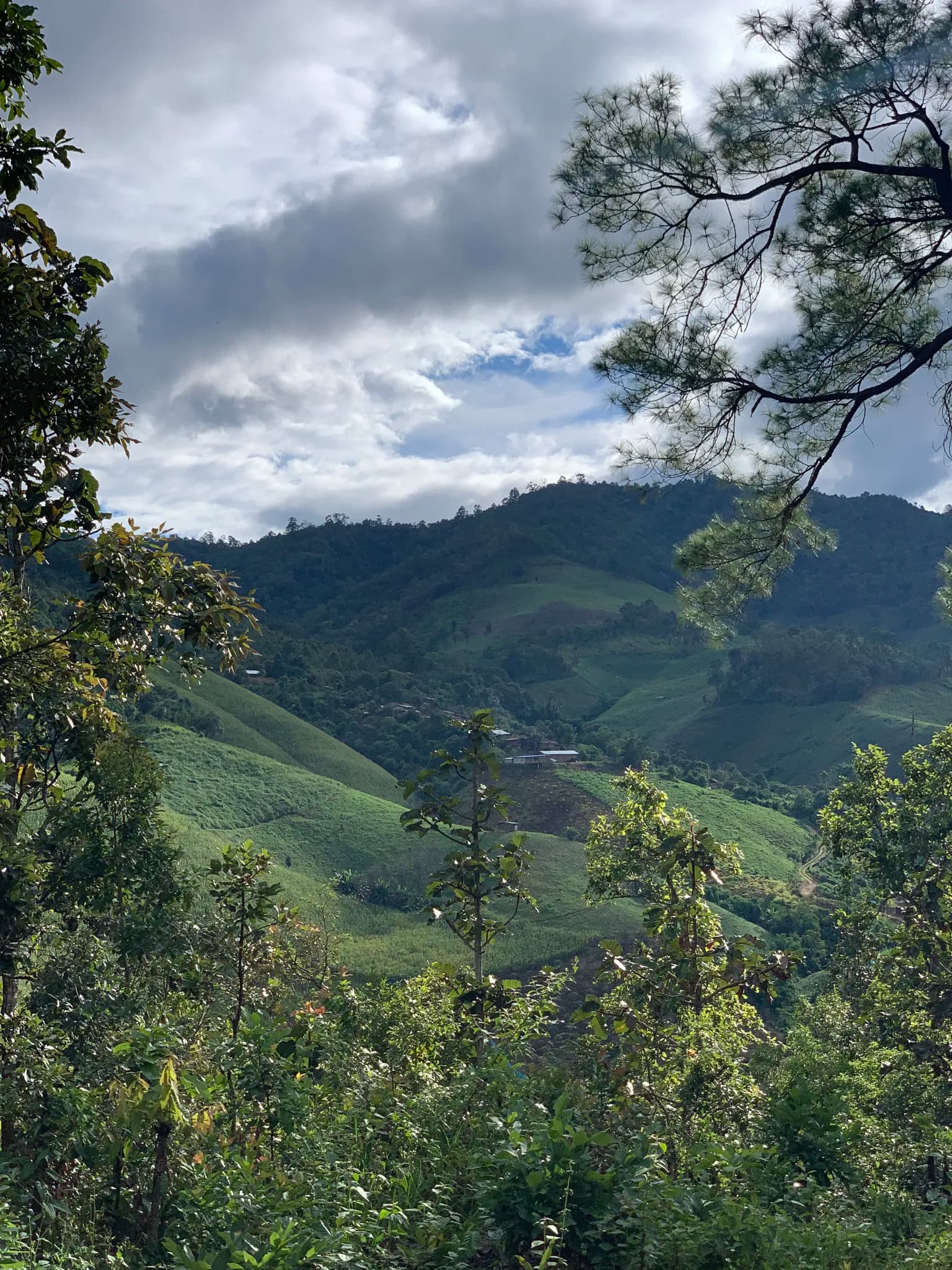 Trail photo — PaiLoop4