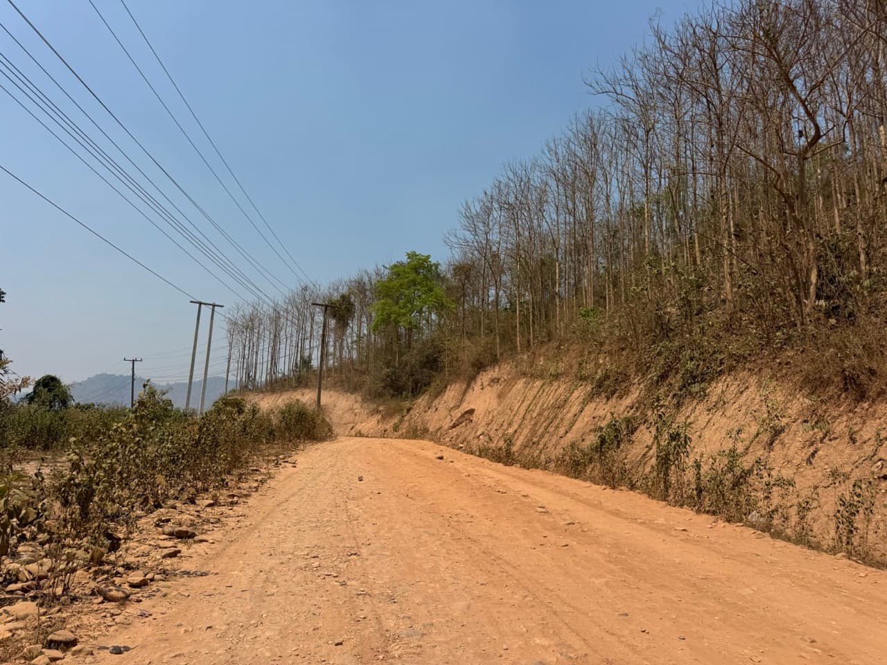 Image 12