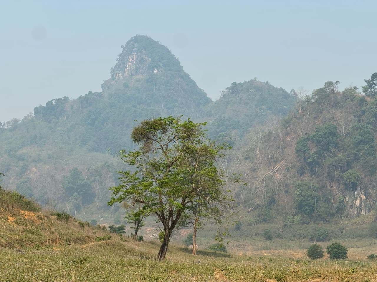 Image 12