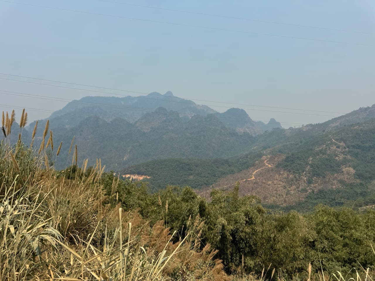 Image 15