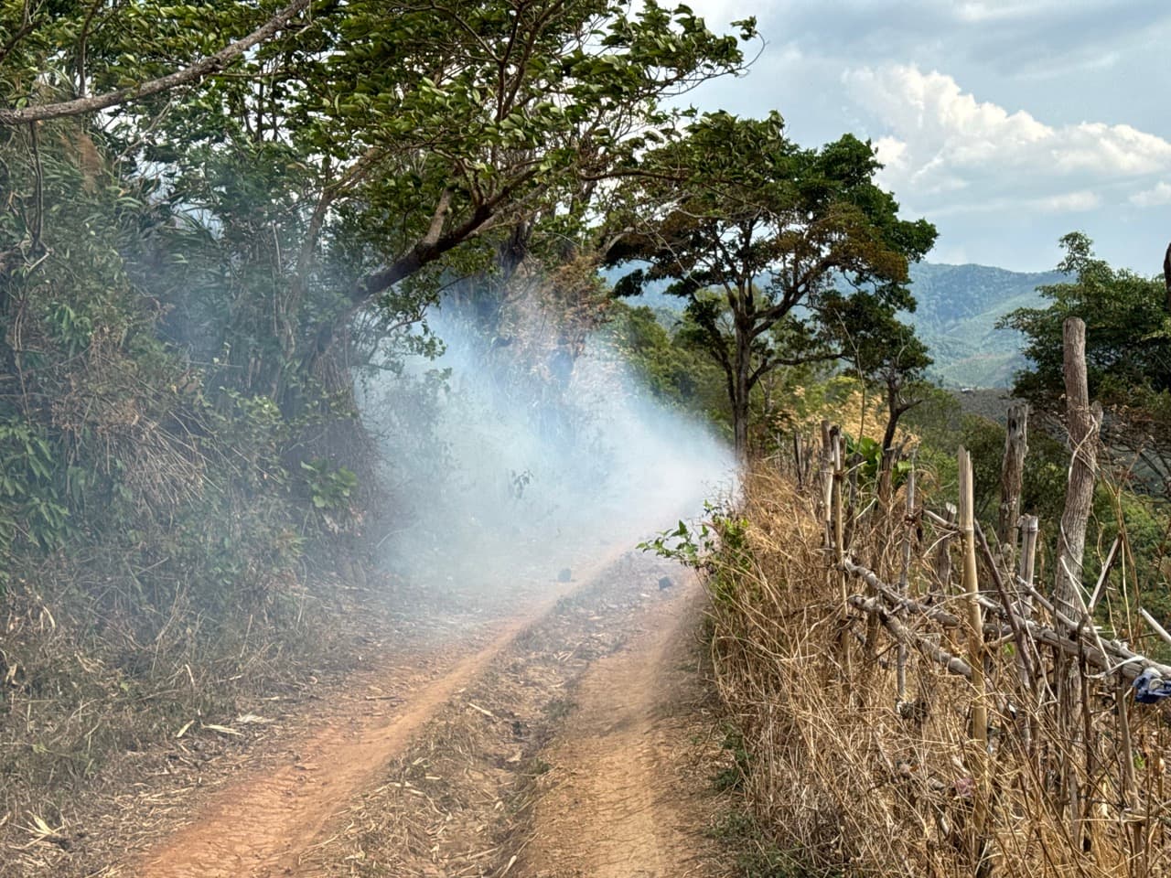 Image 15