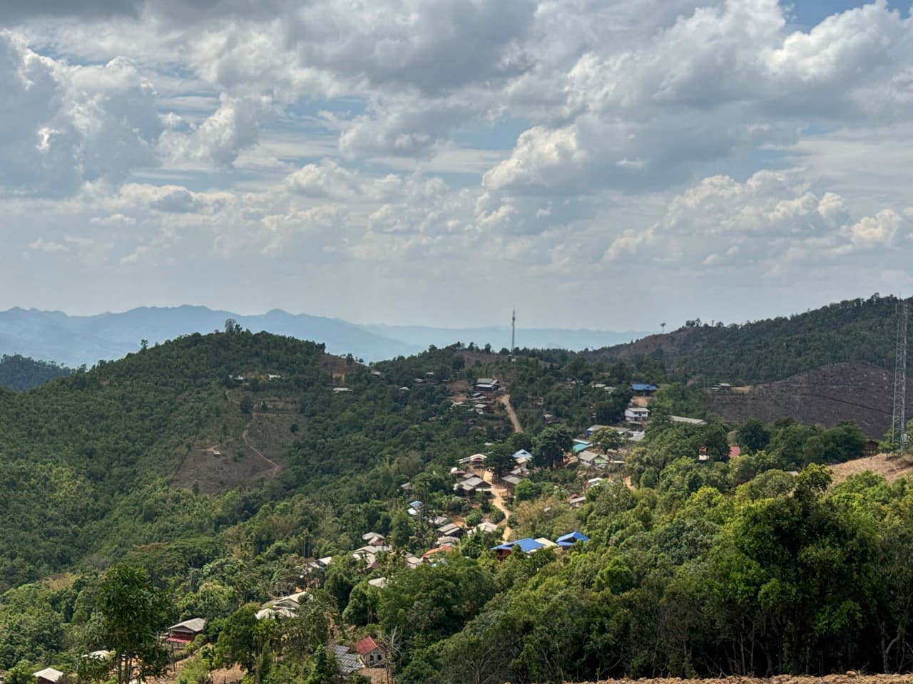 Image 23