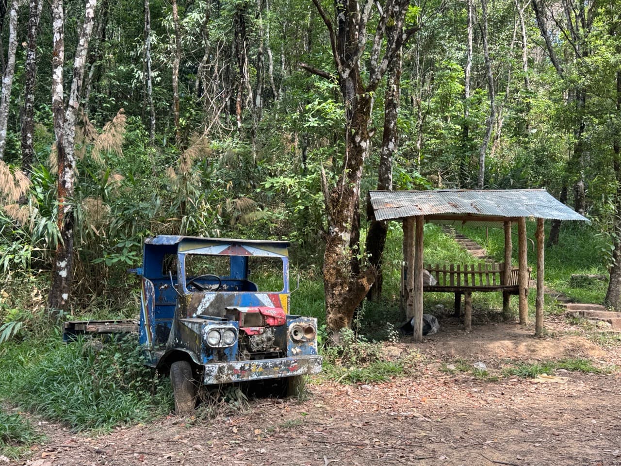 Image 12