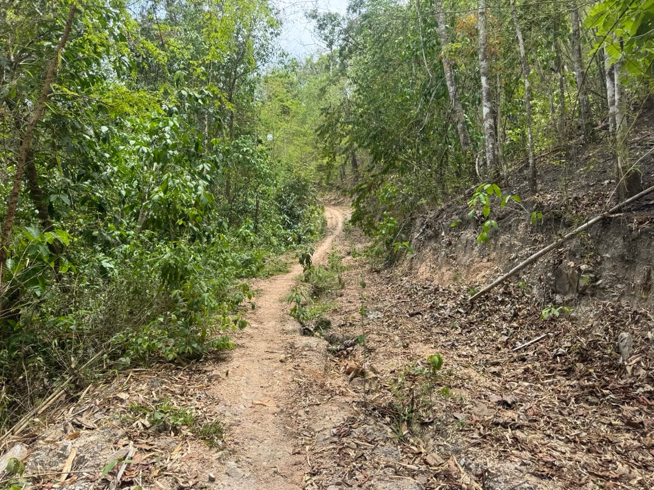 Image 10