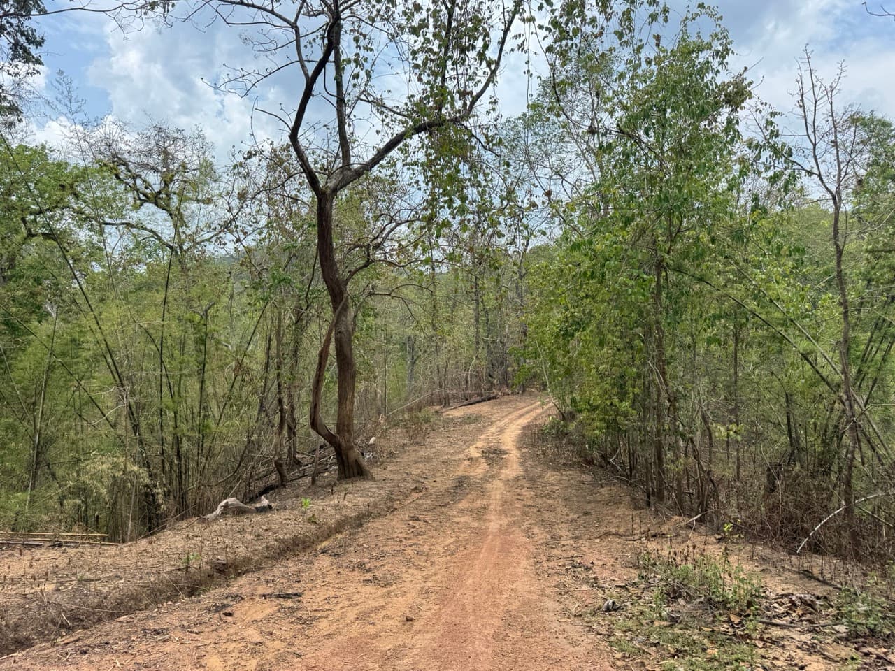 Image 12