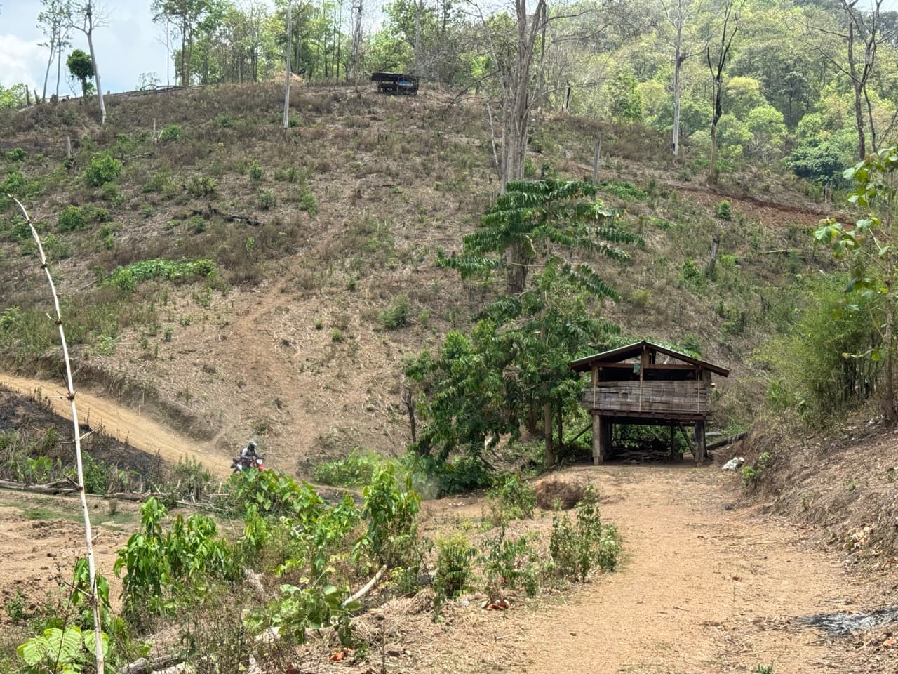 Image 15