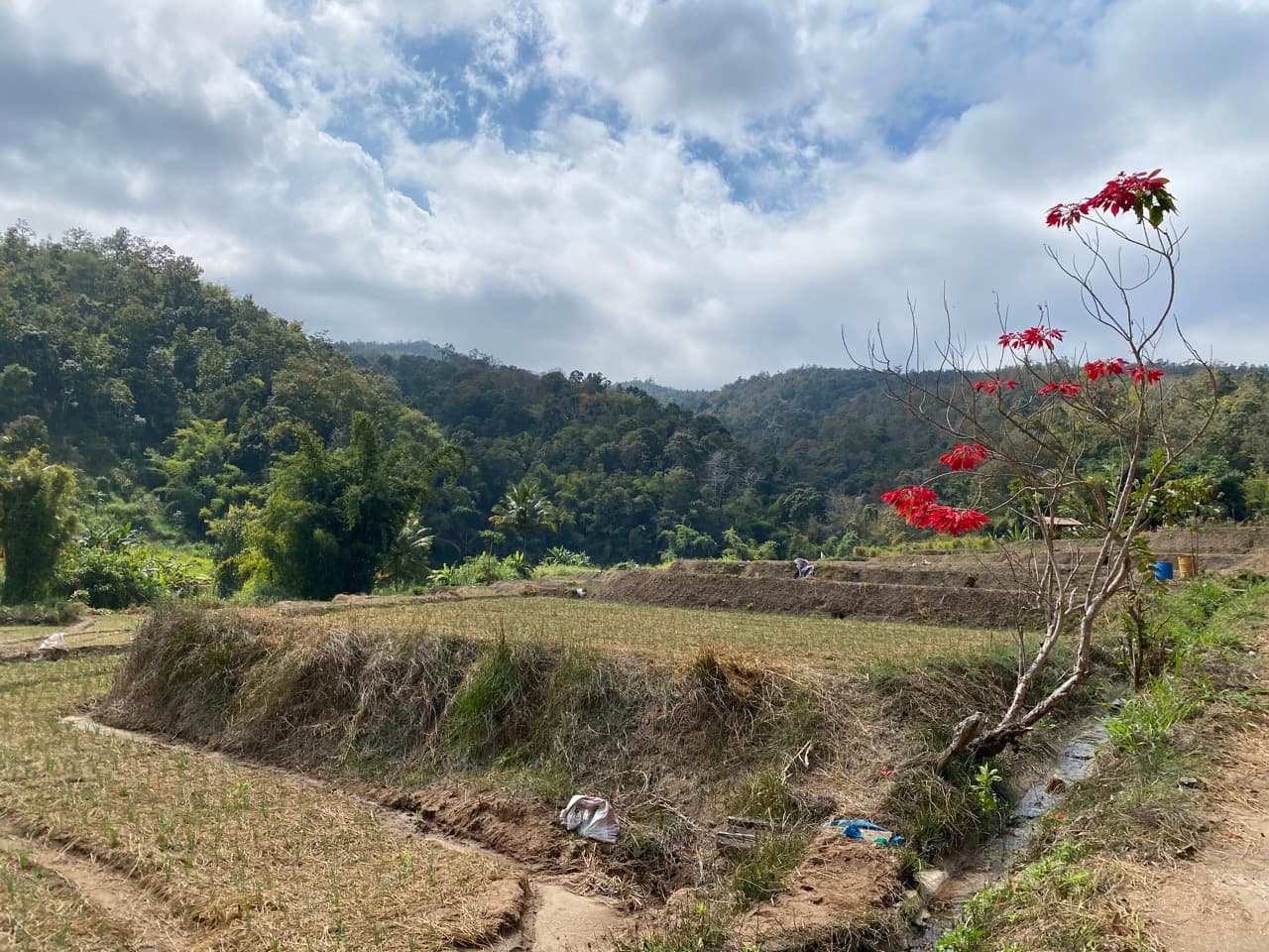 The Mae Chaem Western Dirt Loop
