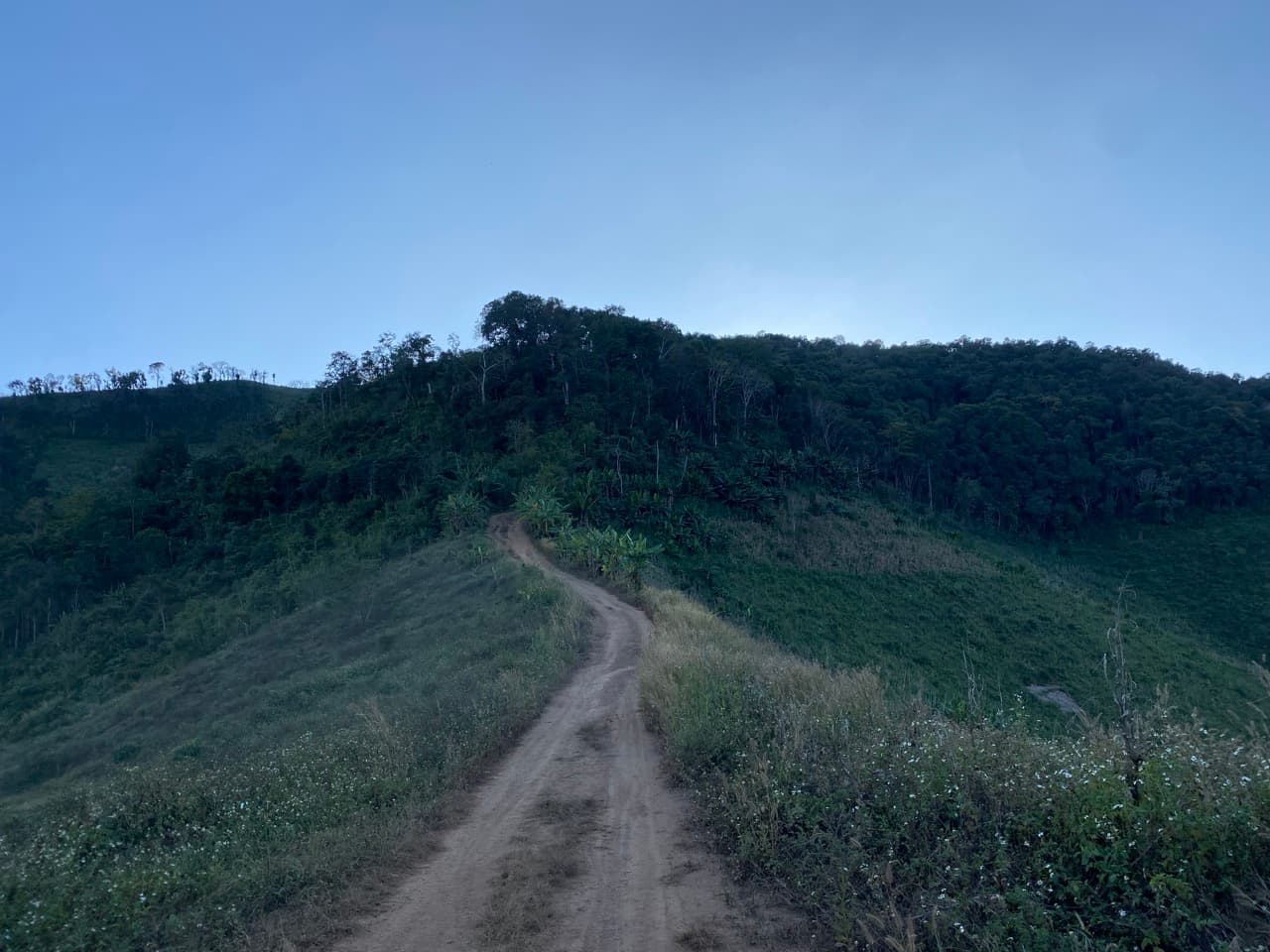 Image 18