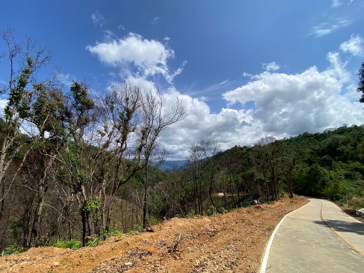 The Old Elephant Trail