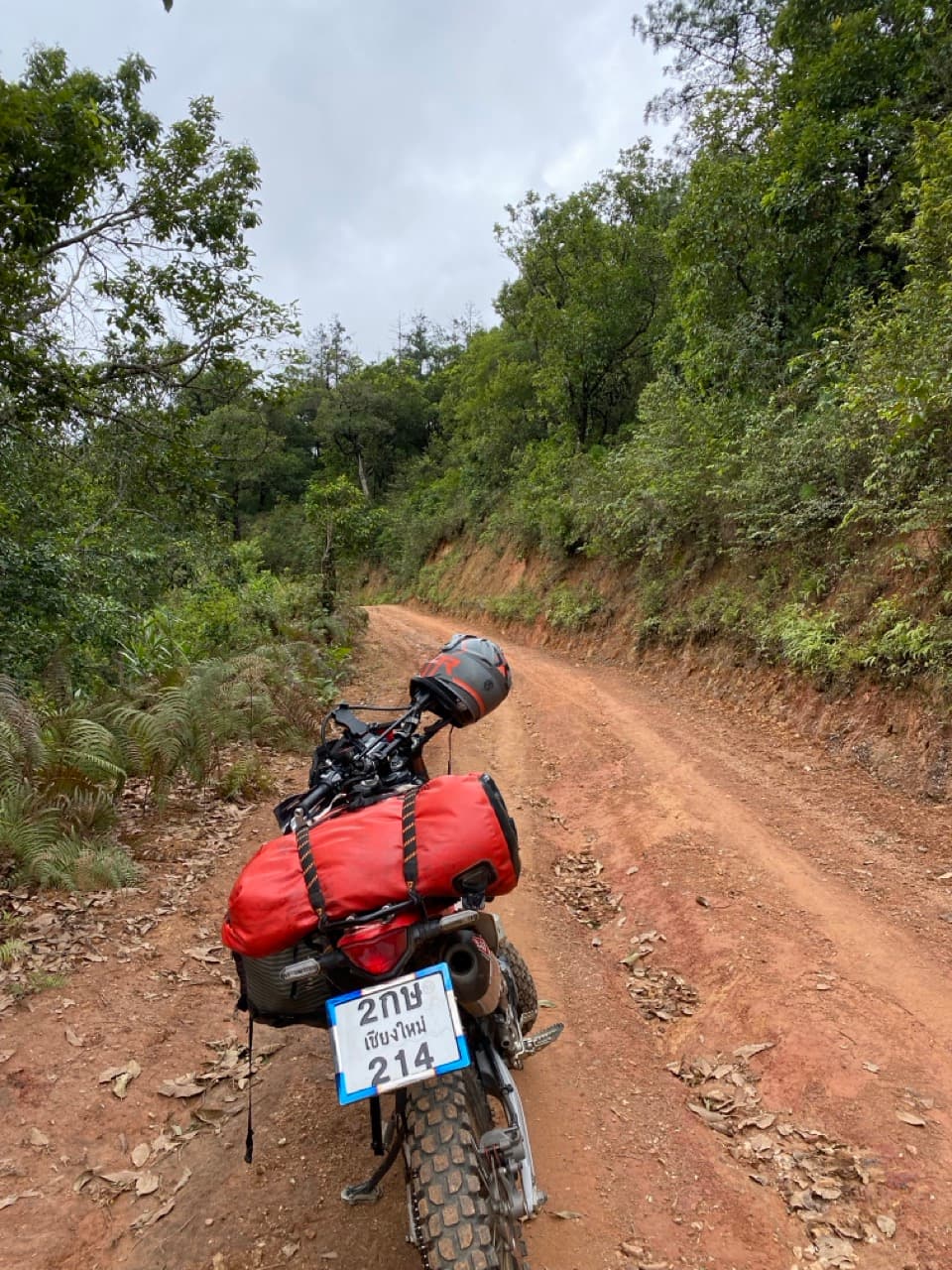 The Old Elephant Trail