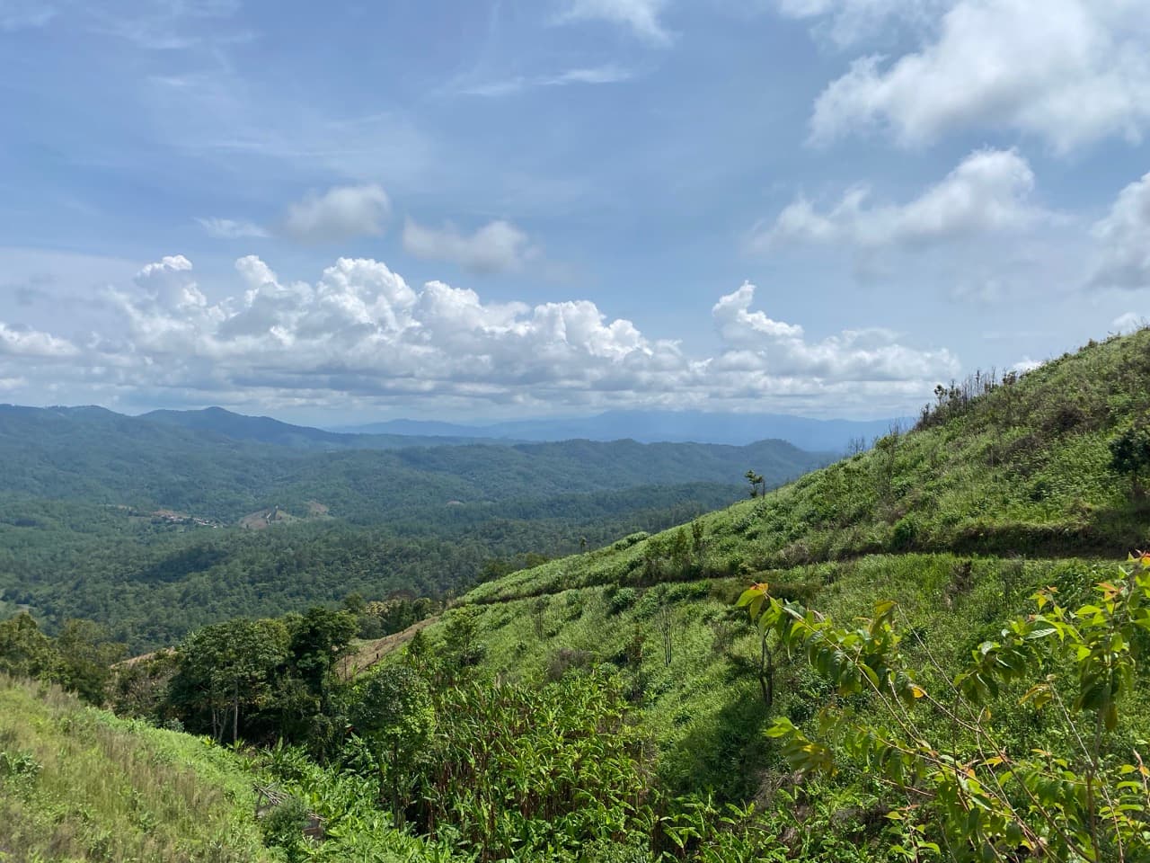 The Old Elephant Trail