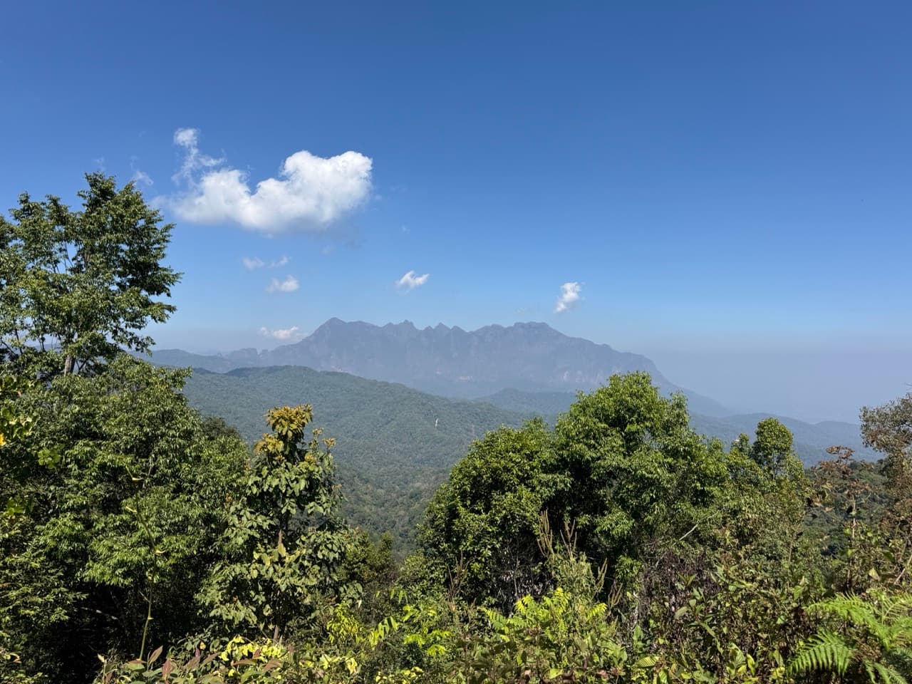 The Ramming Tea Estate to Chiang Dao