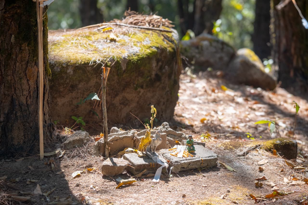 The Ramming Tea Estate to Chiang Dao