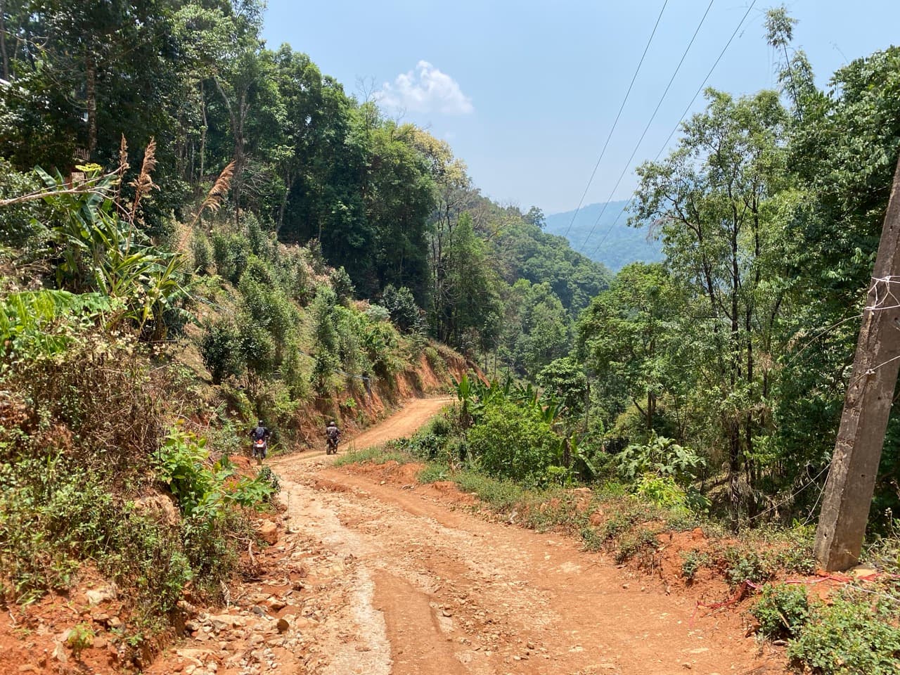 Lampang Fallen Trees Loop