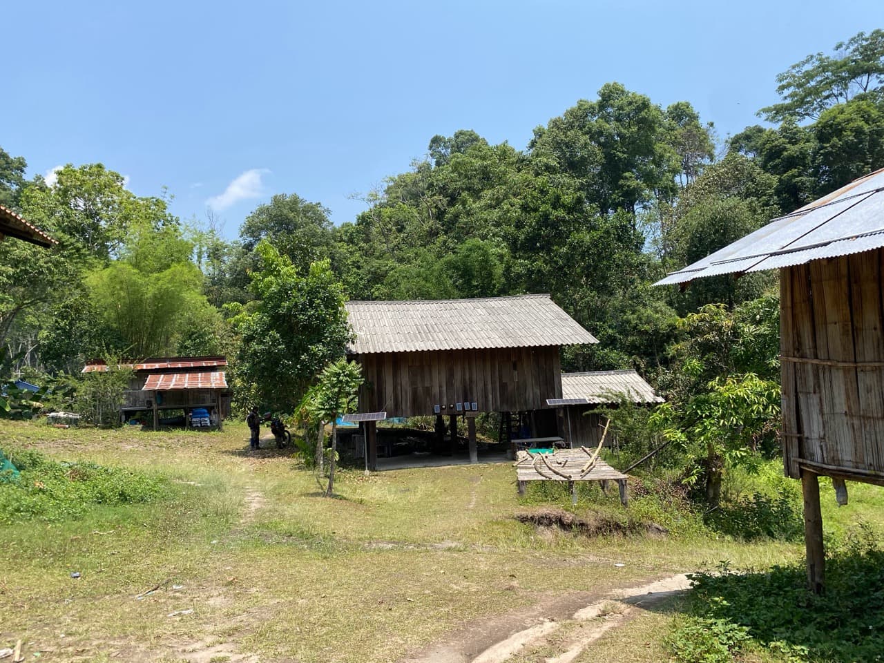 Lampang Fallen Trees Loop