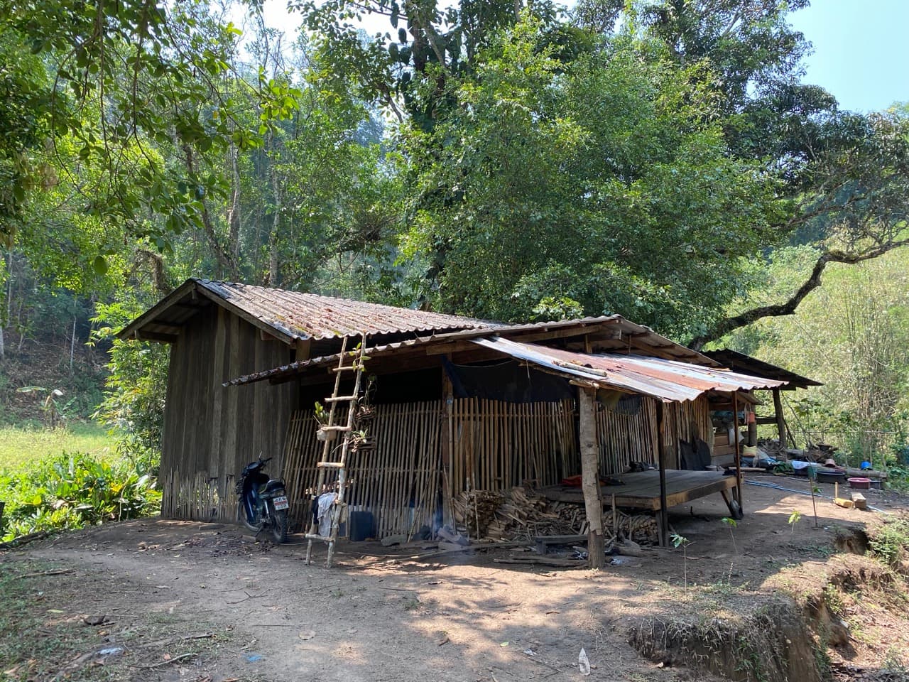 Lampang Fallen Trees Loop