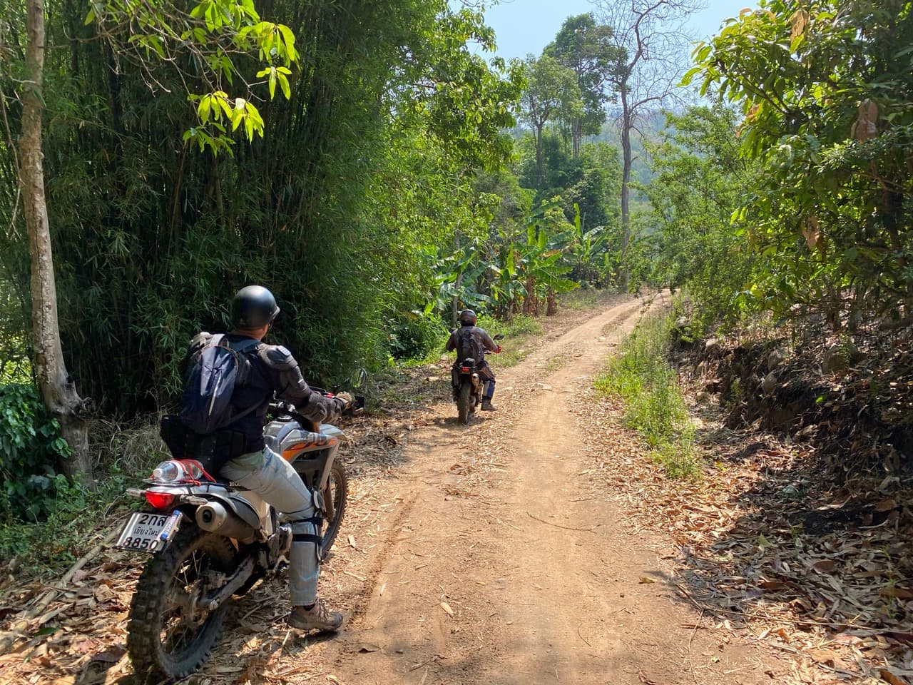 Lampang Fallen Trees Loop