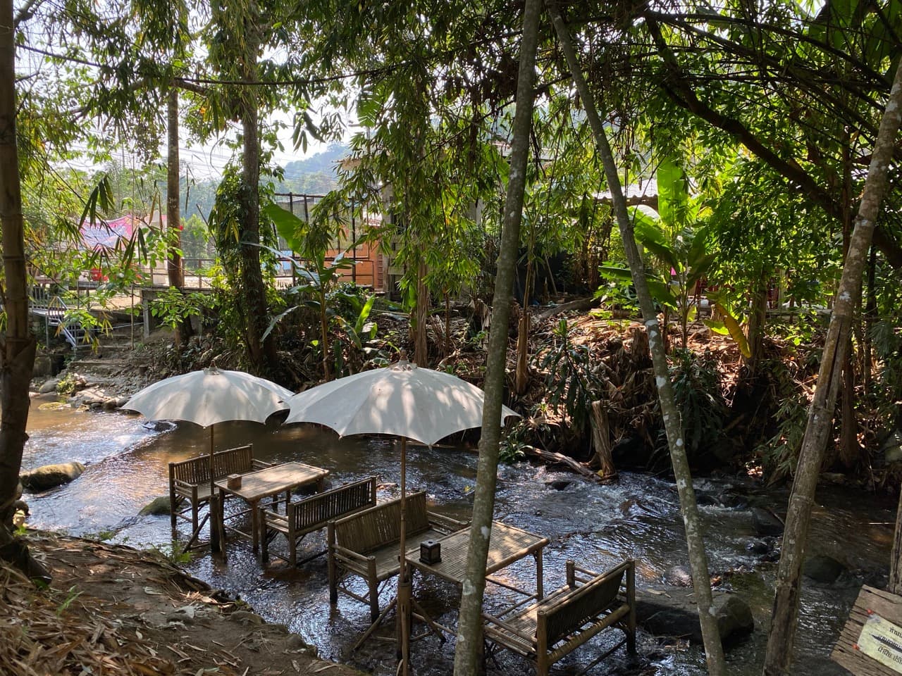 Lampang Fallen Trees Loop