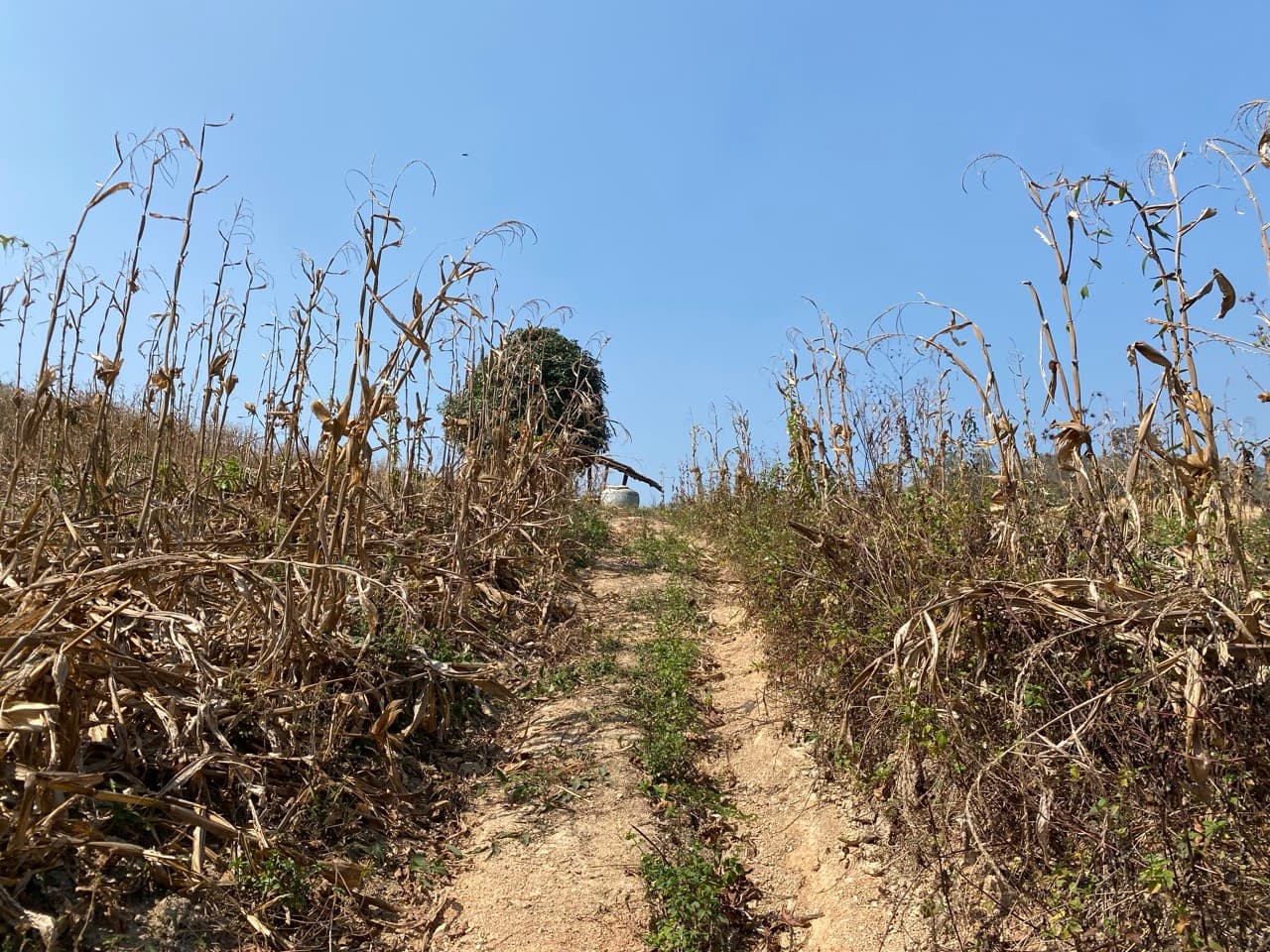 Lampang Back-Roads