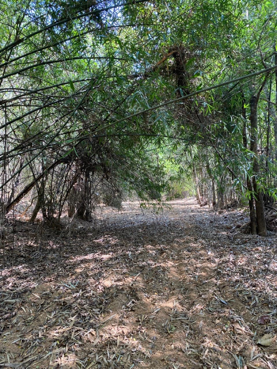 Lampang Back-Roads
