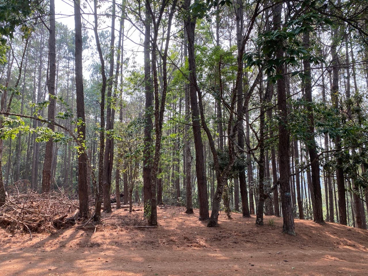 Chiang Mai to Pai Off-road - Option 1