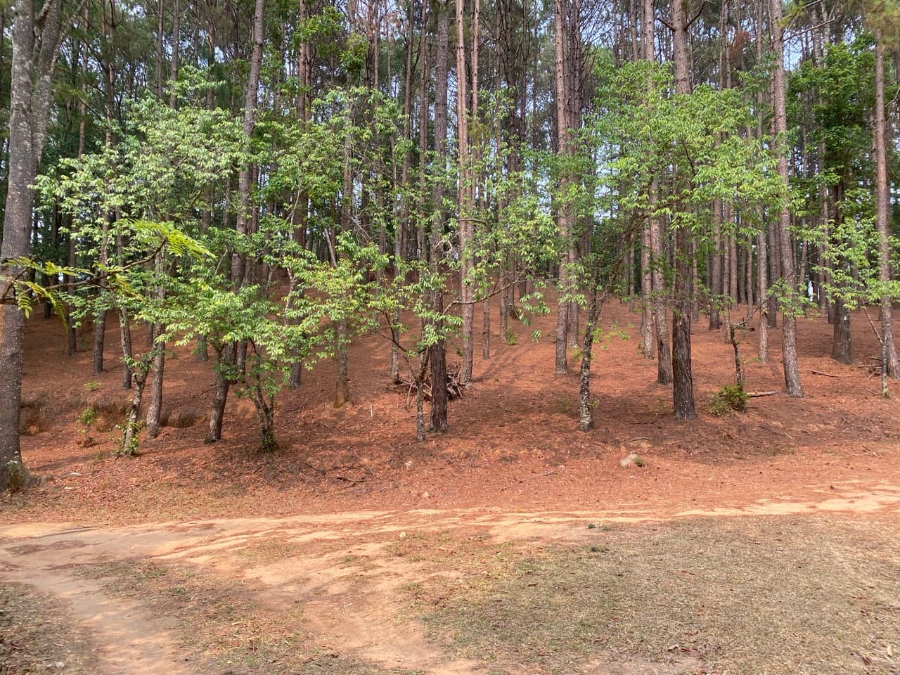 Chiang Mai to Pai Off-road - Option 1
