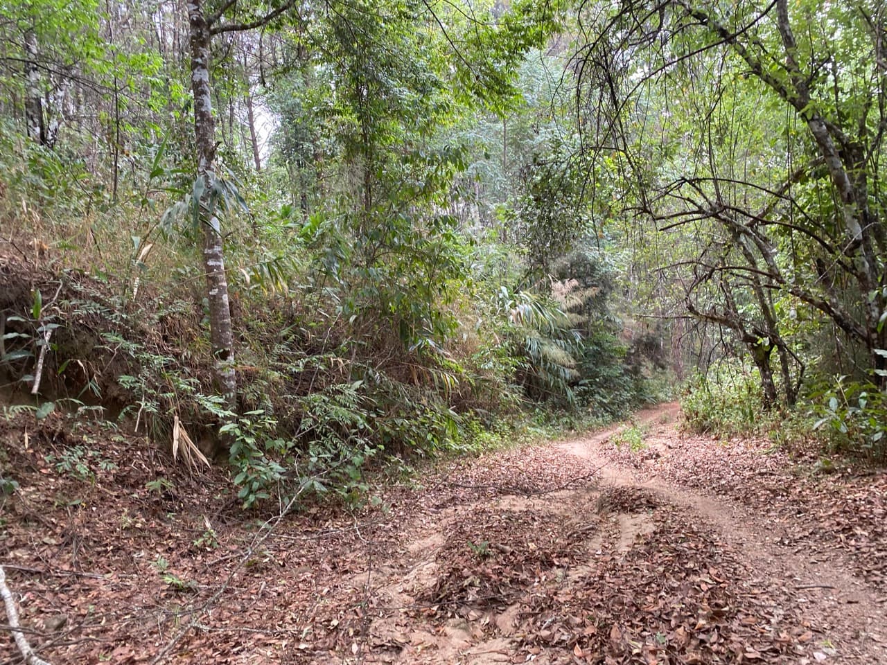 Chiang Mai to Pai Off-road - Option 1
