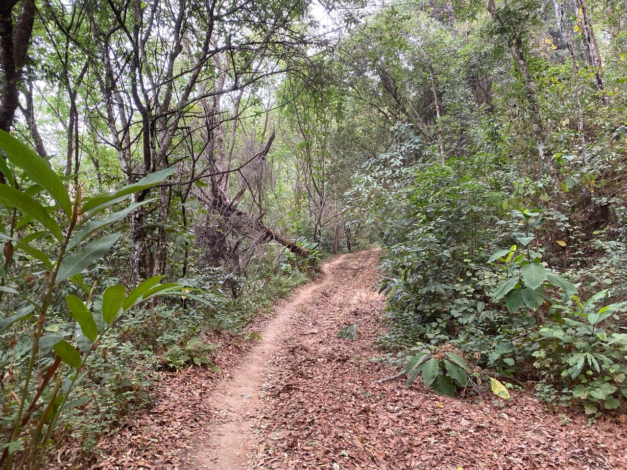 Chiang Mai to Pai Off-road - Option 1
