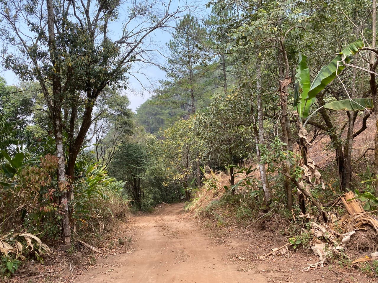 Chiang Mai to Pai Off-road - Option 1