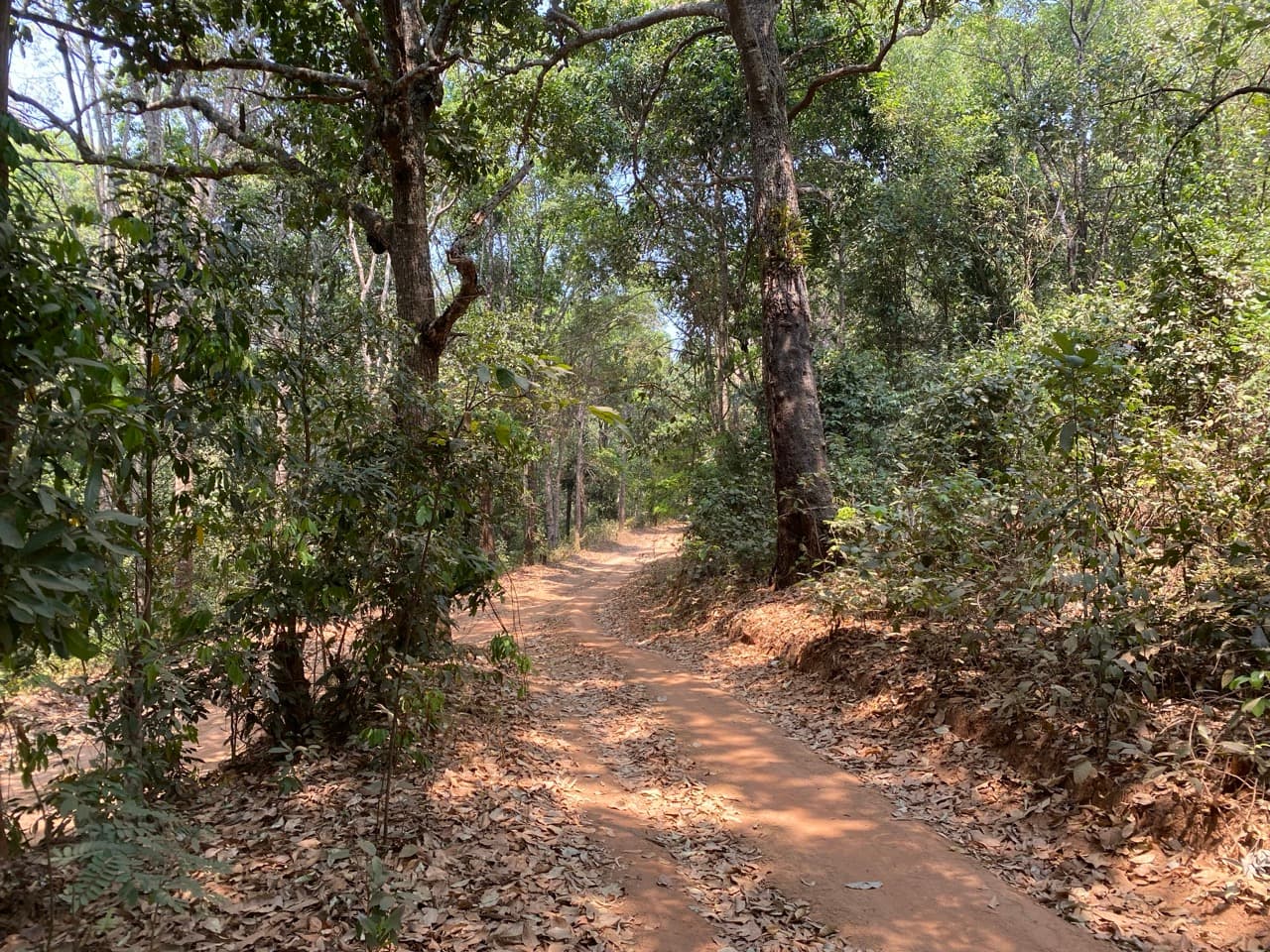 Chiang Mai to Pai Off-road - Option 1