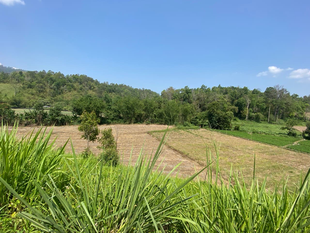Doi Mon Angket