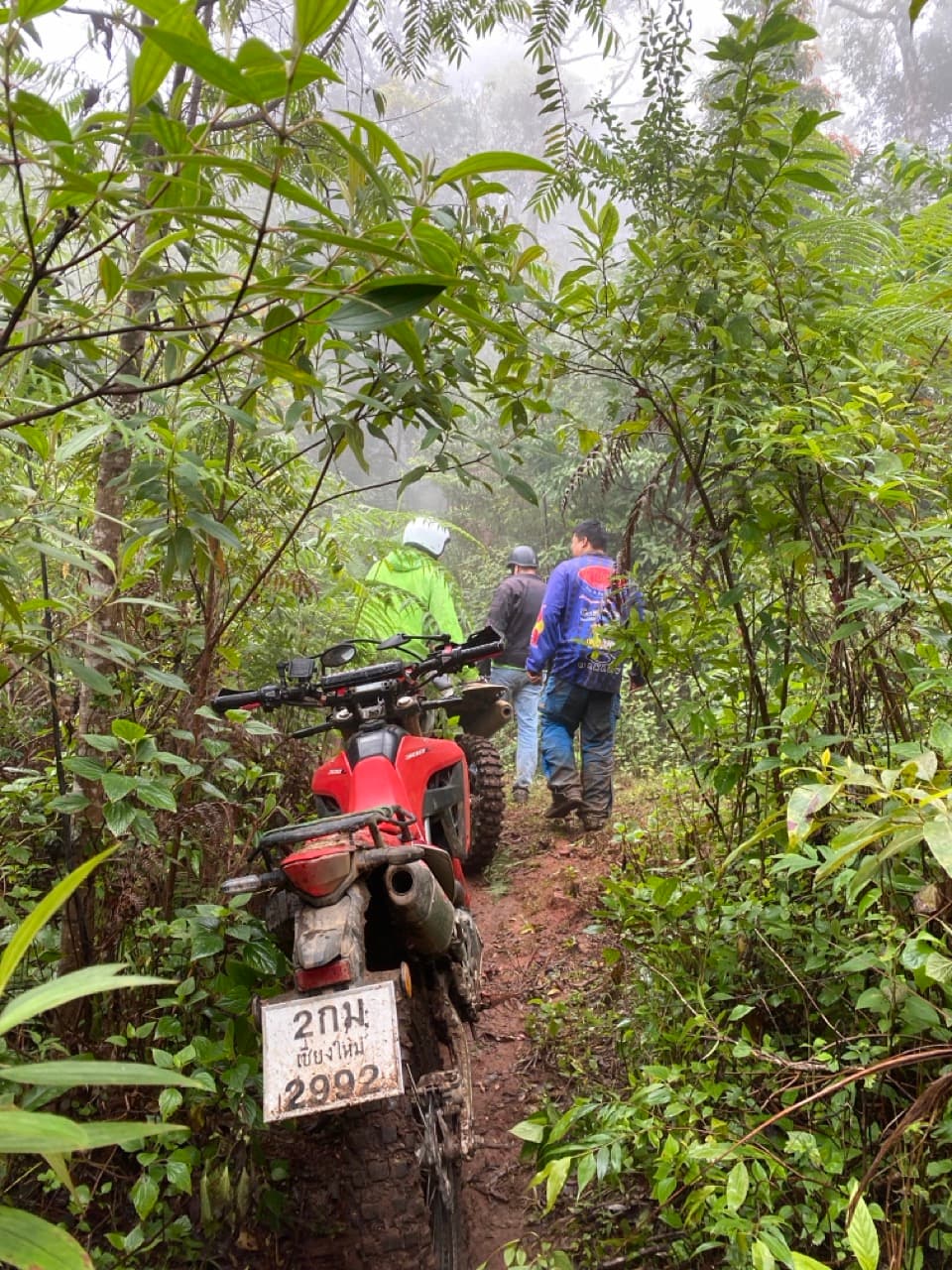 The Jesus Trail