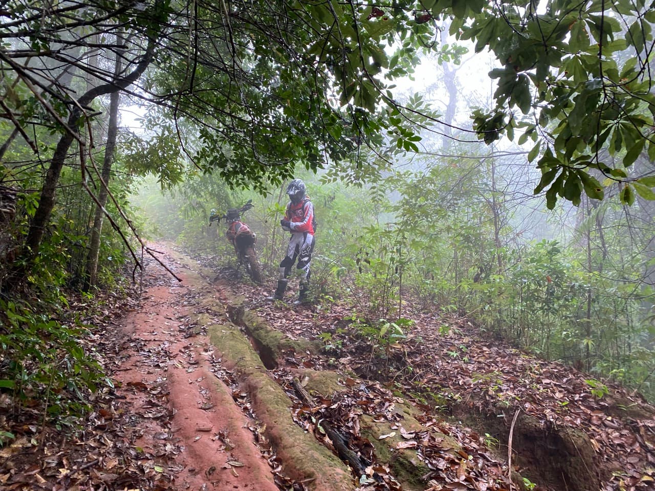 The Jesus Trail