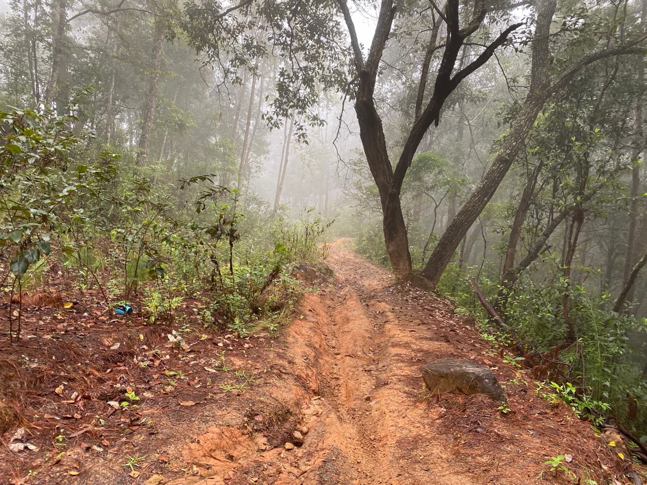 The Jesus Trail