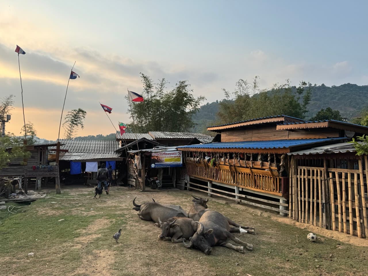 The Road to Tha Koh Kha