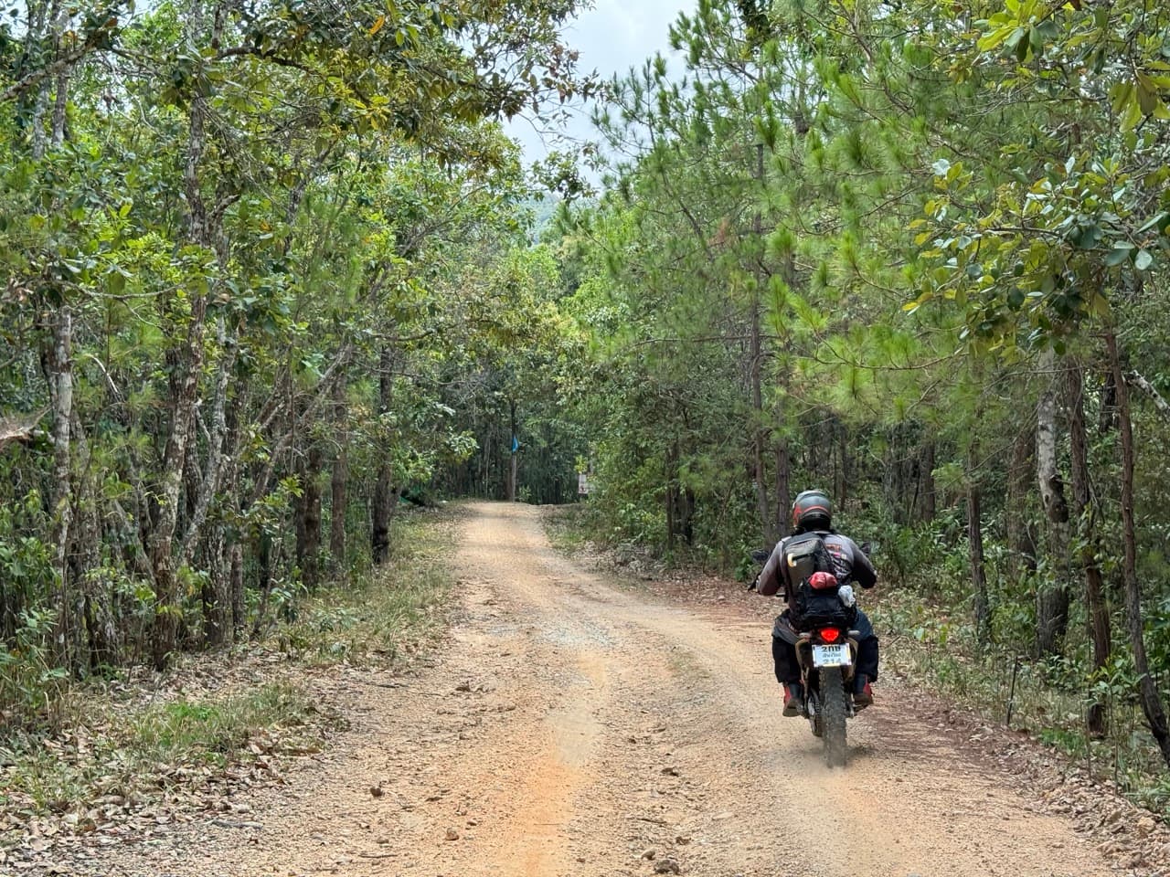 The Road to Tha Koh Kha