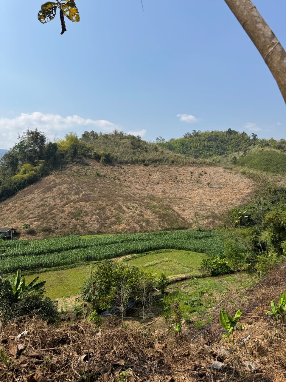 Chiang Mai to Nan via Backroads