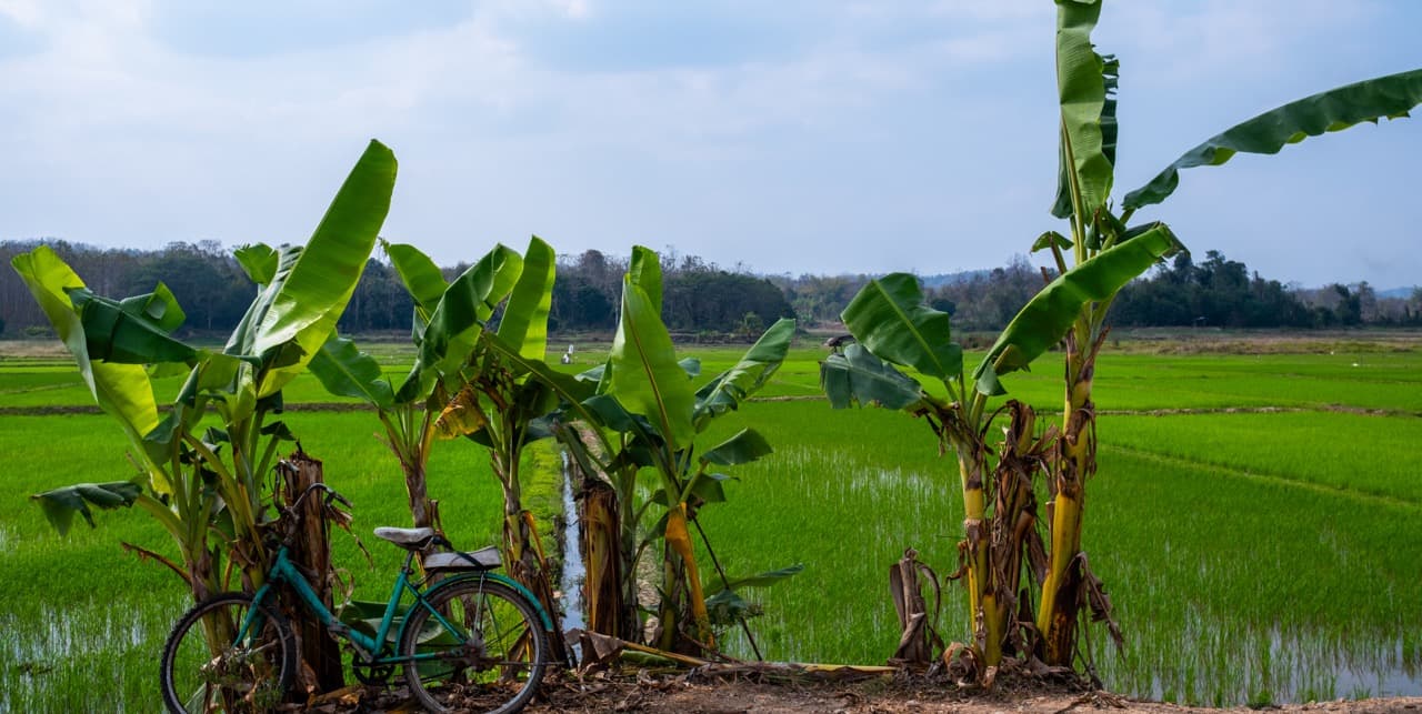 Chiang Mai to Nan via Backroads