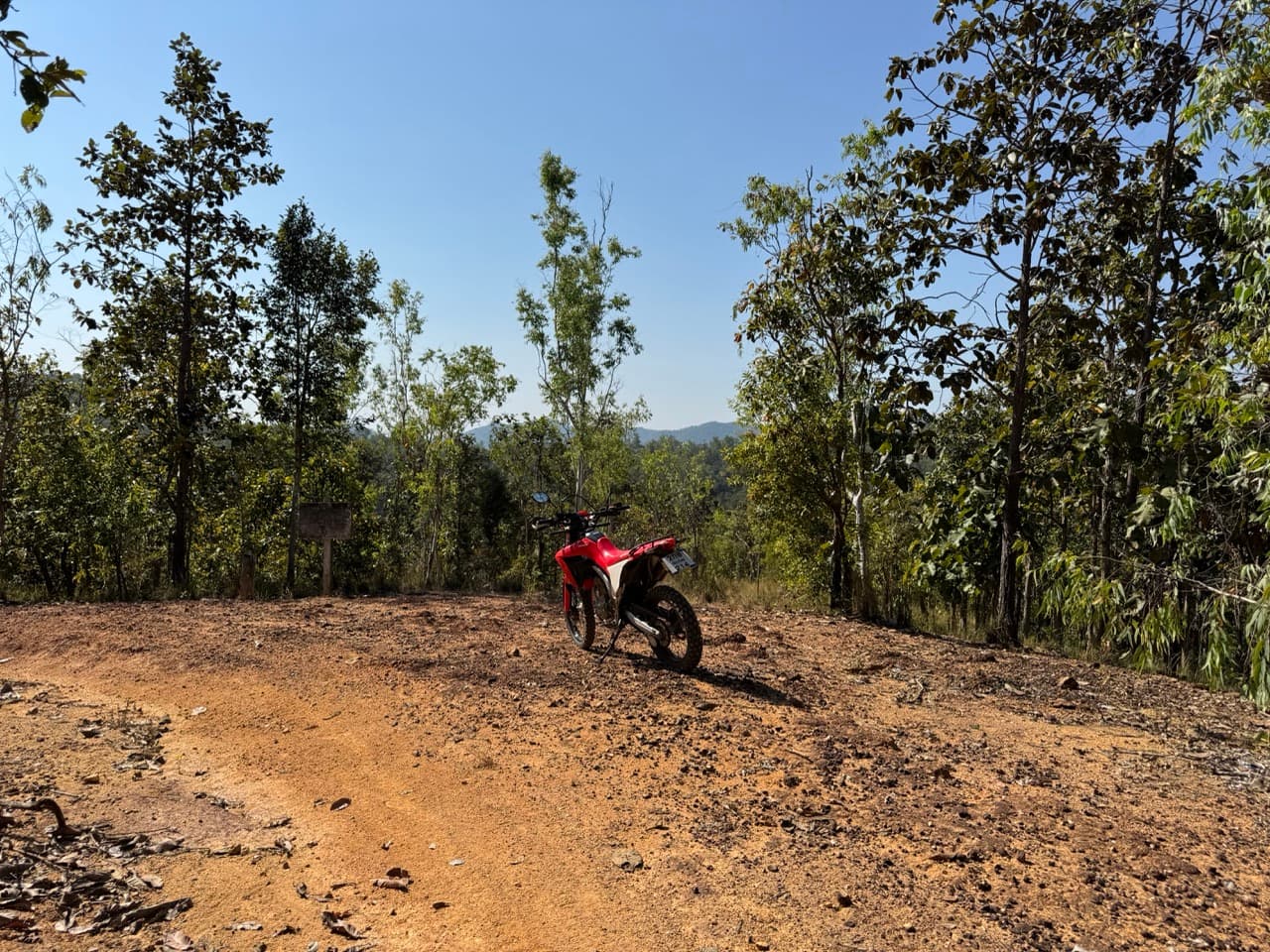 The Mae On Warm Up Trail