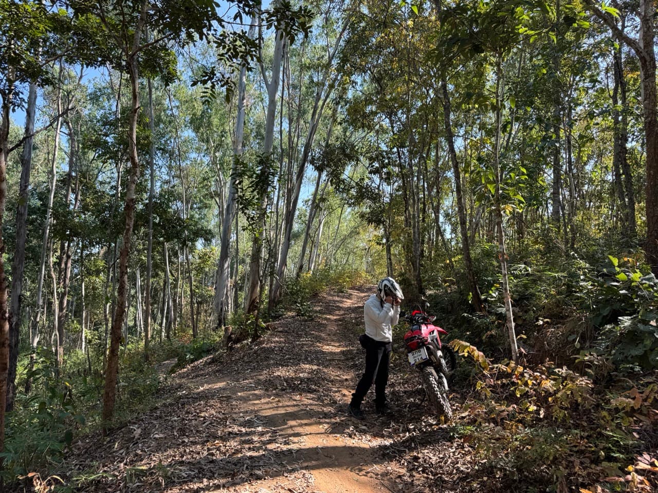The Mae On Warm Up Trail