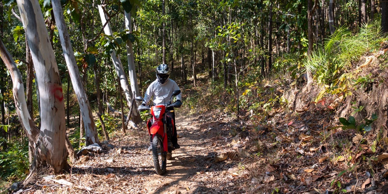 The Mae On Warm Up Trail