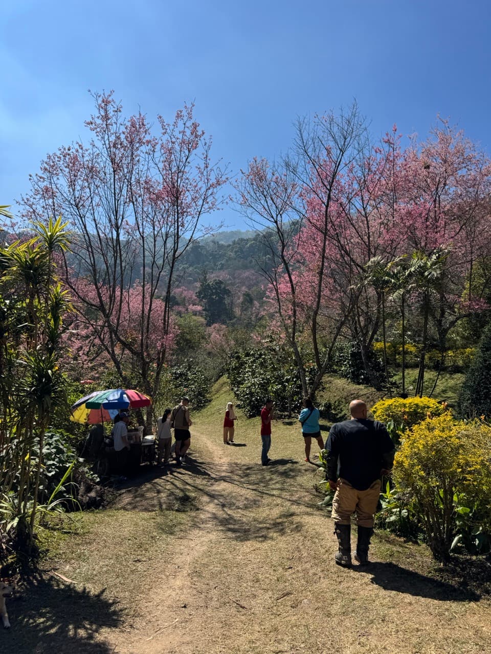 The Sala Trail