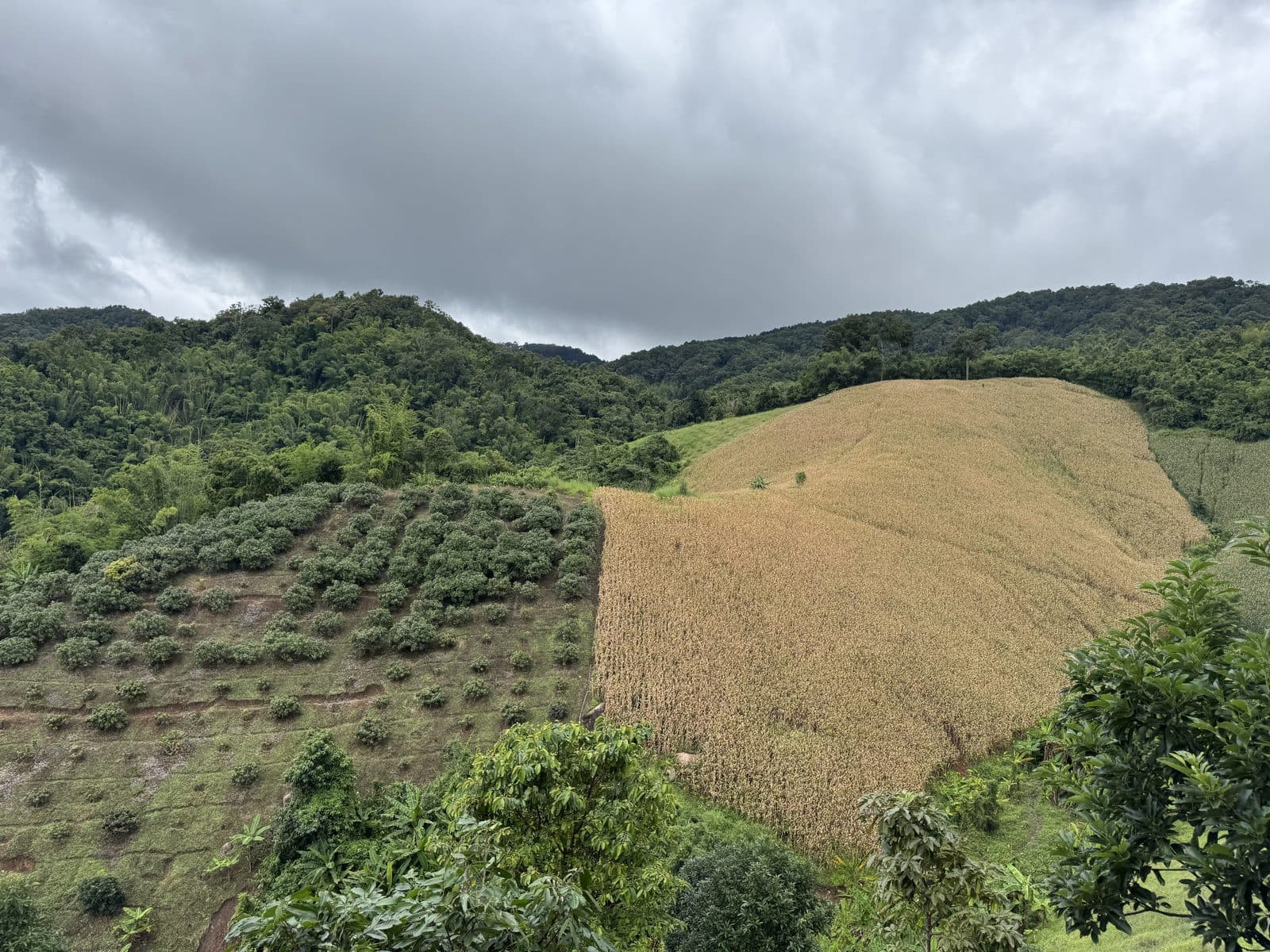 Image 10