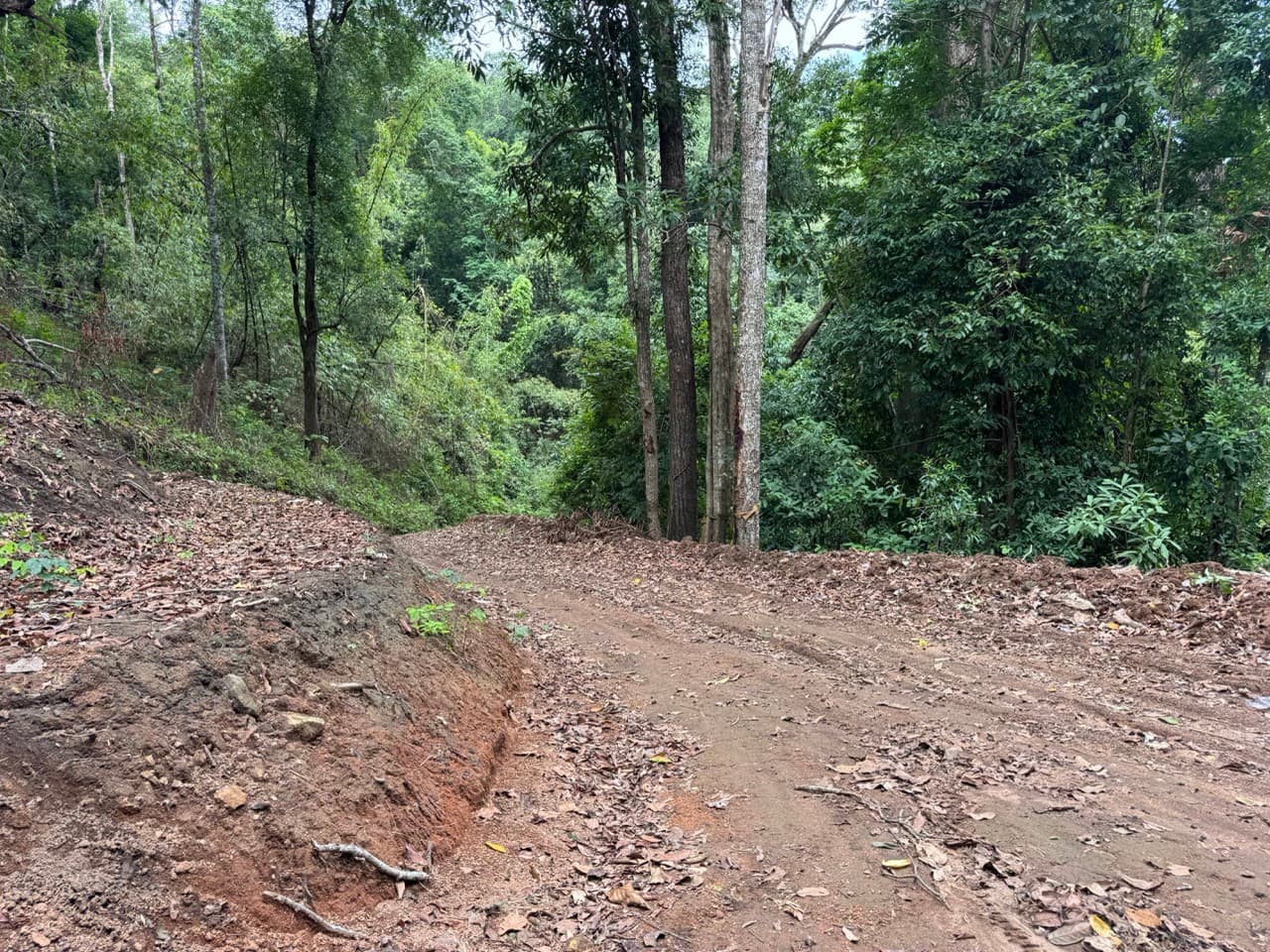 Mae On River Run and Up to Mae Kampong