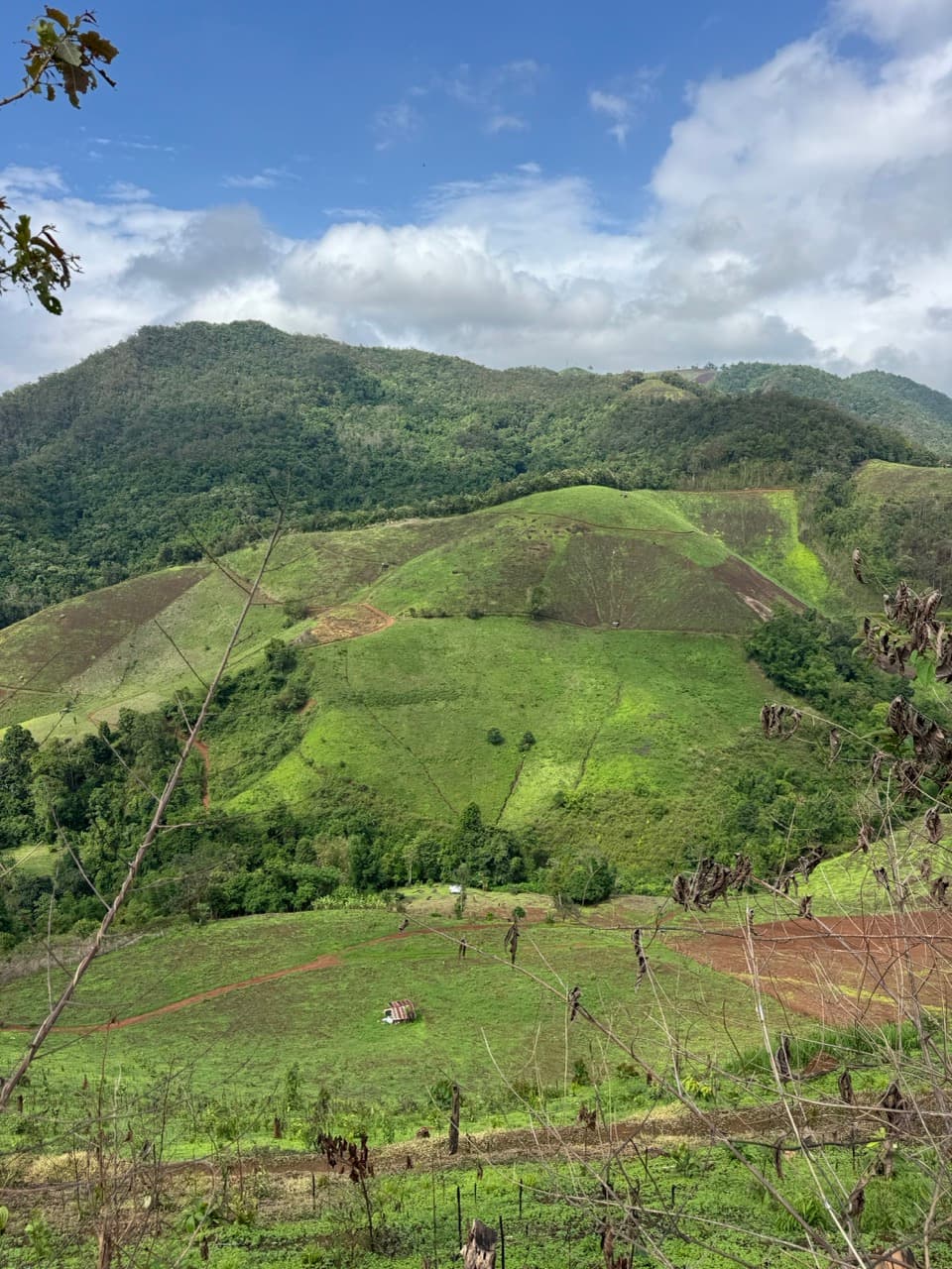 Image 10