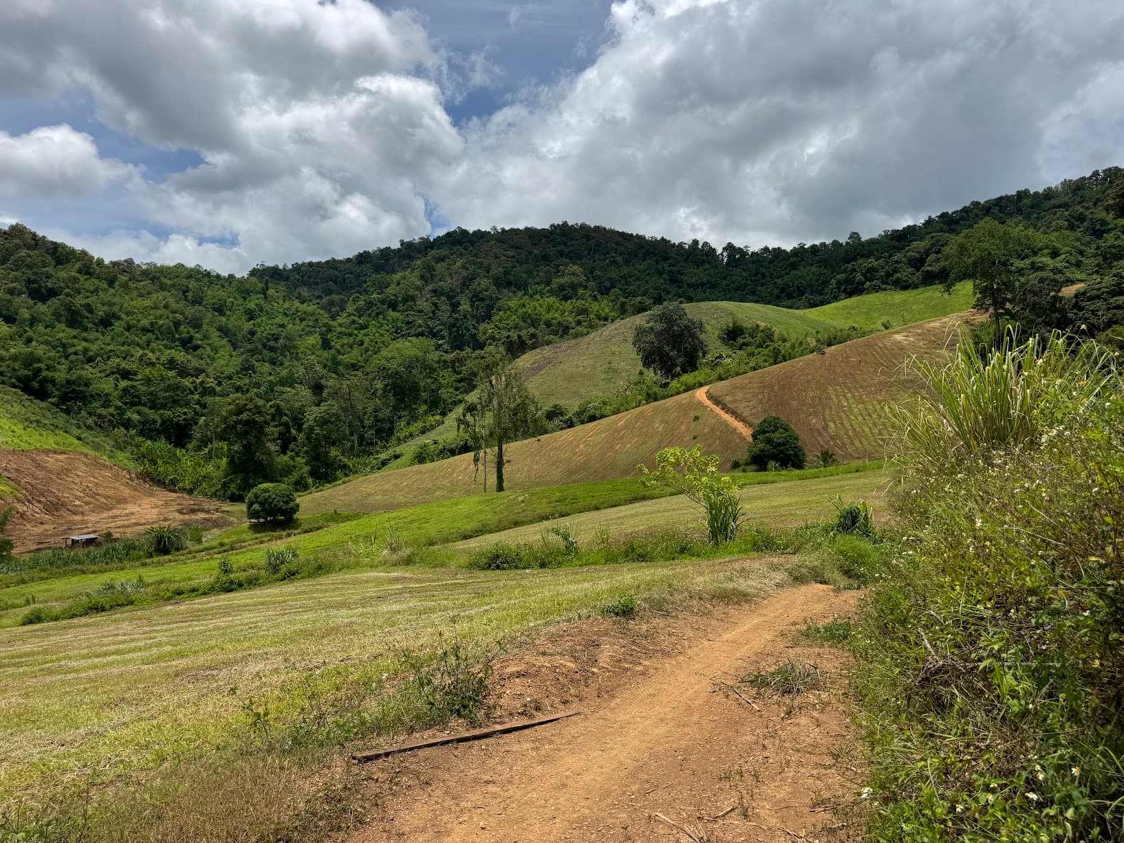 Lampang Farm Roads Explorer