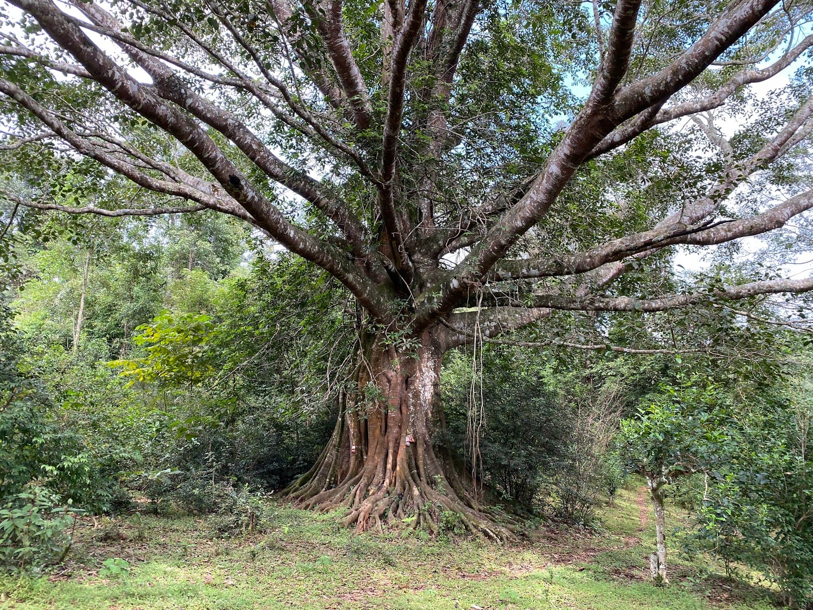 Image 10