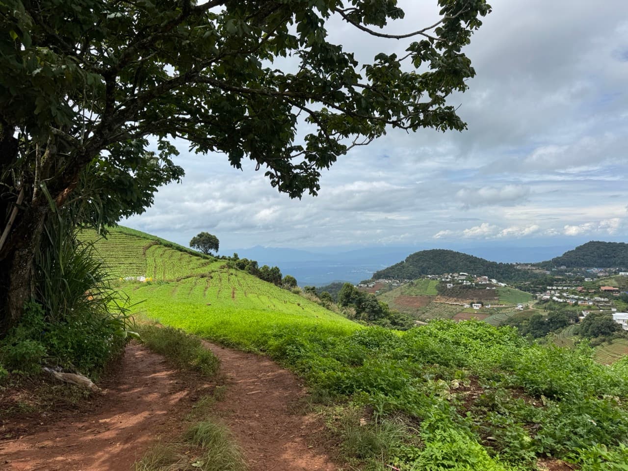 Image 12